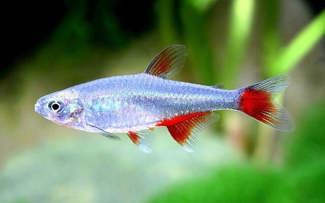 1474_4224ef87faabccabbb124a62660f6d38