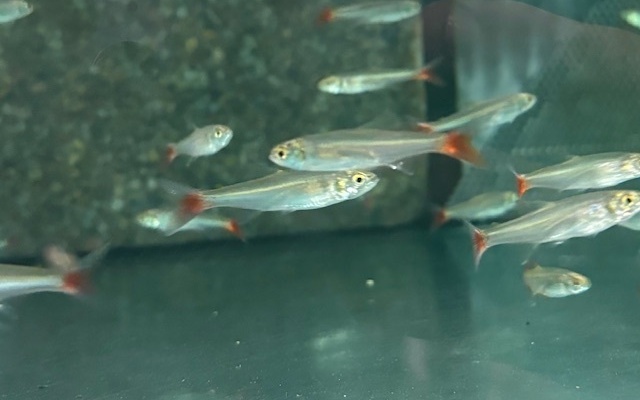 16846_2849ed5f7fb82b4179a63e63e3b97f88