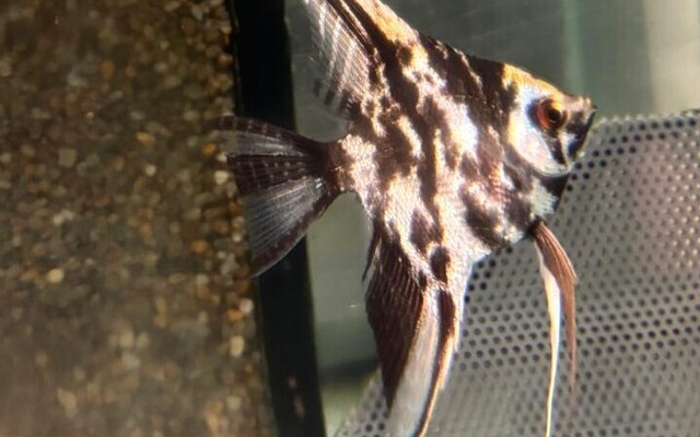 16809_7b89899de98ba9fafb2aff3b806e7ede (1)