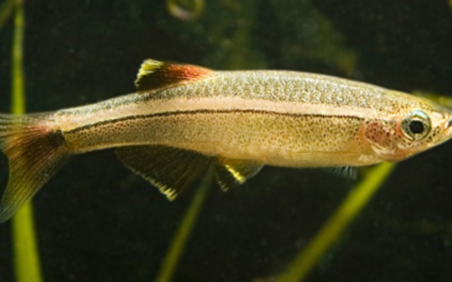 7747_f2e9e8f8fc02377c3ce42c8aa760f355