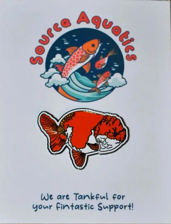 Collectible Lionhead Goldfish Enamel Foundation Support Pin - Image 3