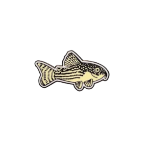 Collectible Corydora Enamel Foundation Support Pin