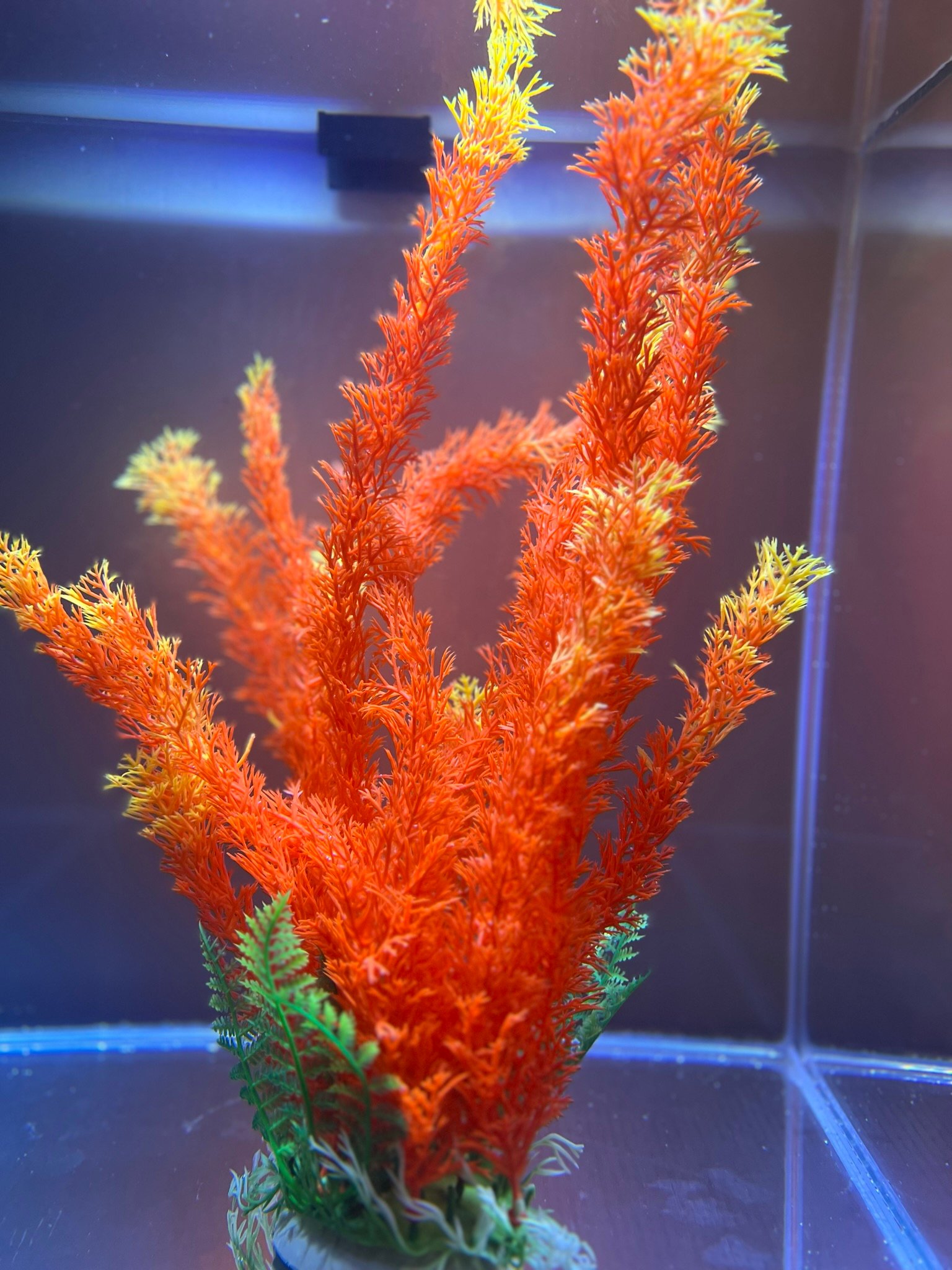 LARGE Realistic Plastic Aquatic Plant- Weighted Base, Life-like Movement- Perfect for Aquarium or Pond - Image 2