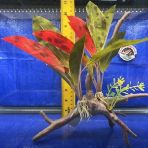LARGE Realistic Silk Amazon Plant on Faux Driftwood - Perfect for Aquariums or Home Décor