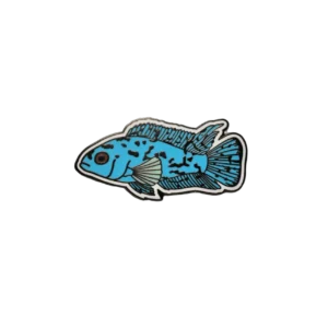 Collectible Jack Dempsey Cichlid Enamel Foundation Support Pin