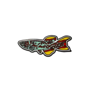 Collectible Killie Fish Enamel Foundation Support Pin